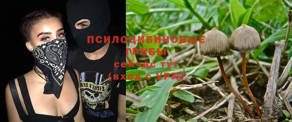мет Алзамай