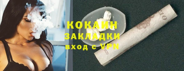 хмурый Абаза