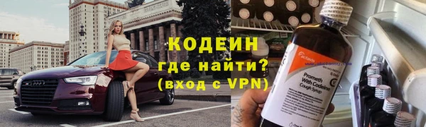 хмурый Абаза
