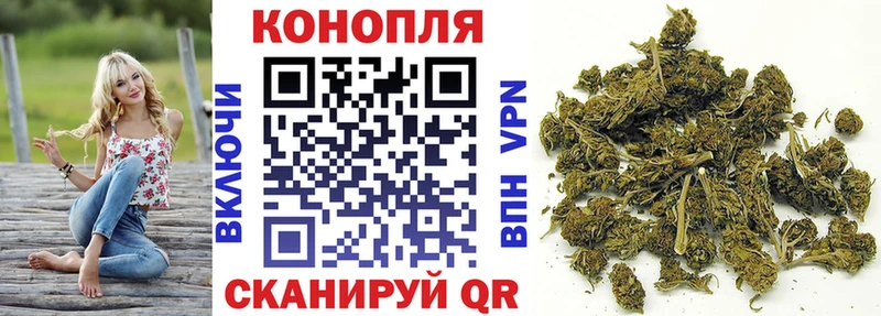 Бошки Шишки план  Поворино 